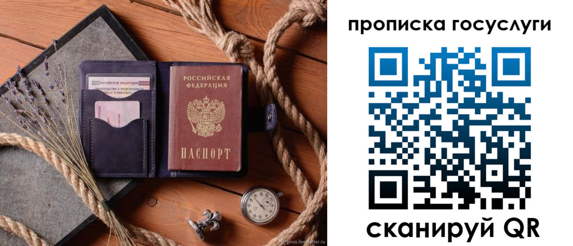 прописка поиск в Сосновке